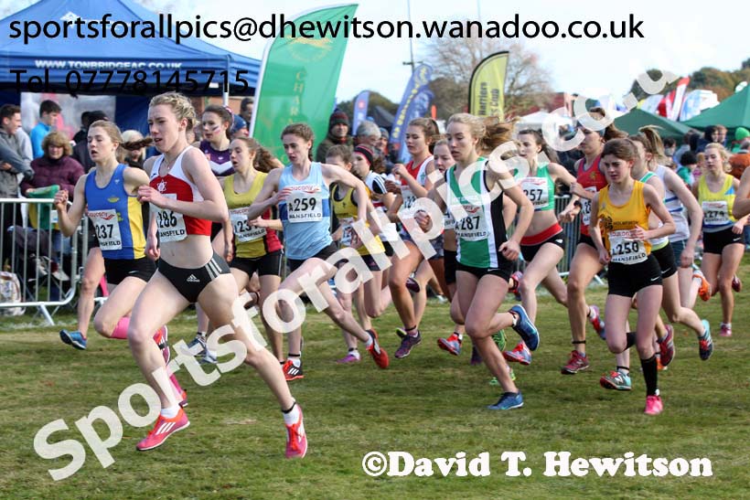 Junior women, 2016 National Cross Cpuntry Relays, Berry Hill Park, Mansfield. Photo: David T. Hewitson/Sports for All Pics